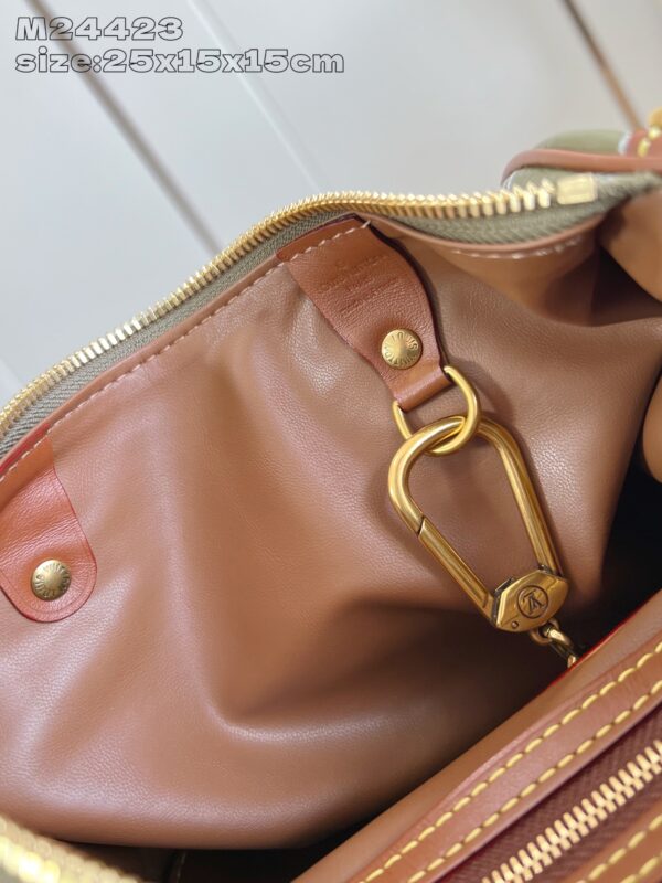 LV Master level Bag