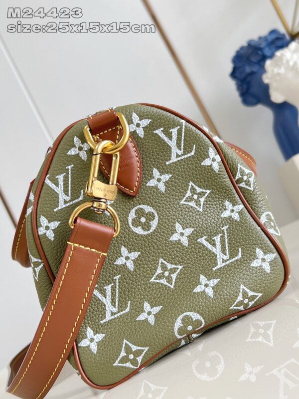 LV Master level Bag