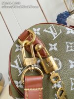 LV Master level Bag