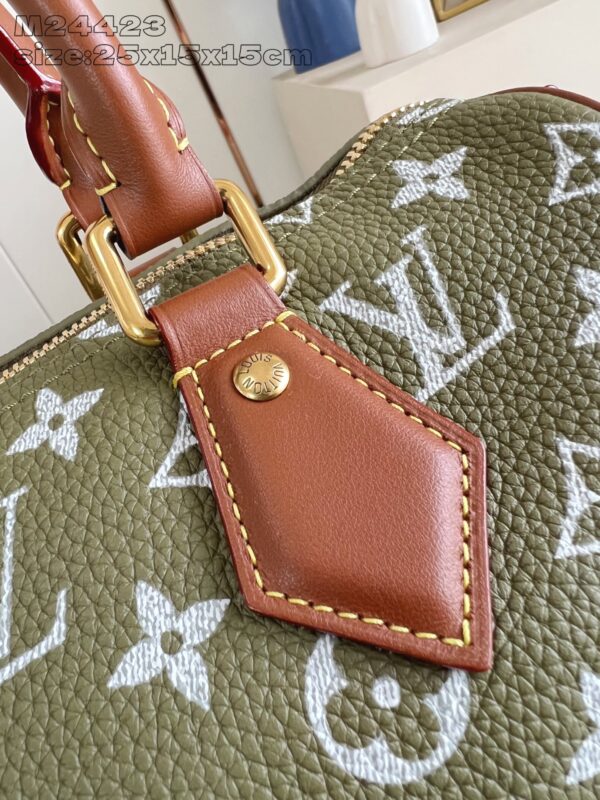 LV Master level Bag