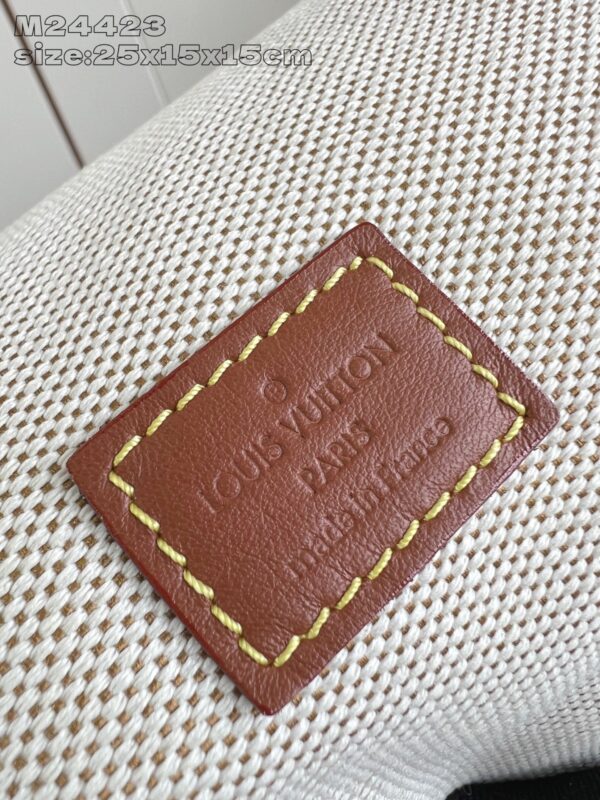 LV Master level Bag