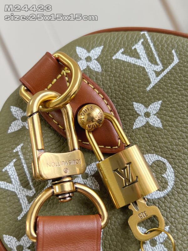 LV Master level Bag