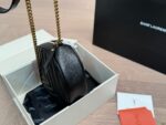 YSL Bag 2025