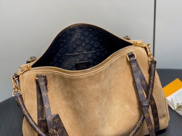 LV Master level Bag