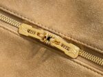 LV Master level Bag