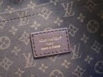 LV Master level Bag