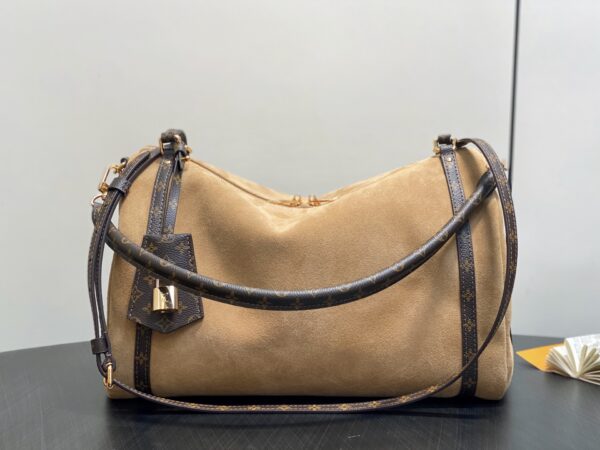LV Master level Bag