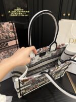 Dior Bag 2025