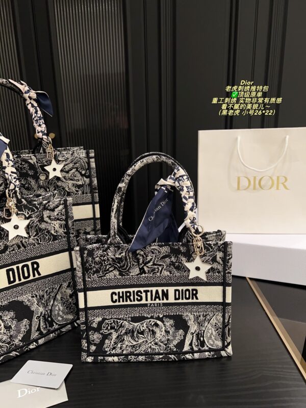 Dior Bag 2025