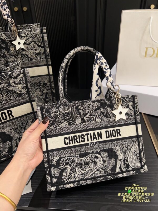 Dior Bag 2025
