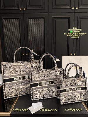 Dior Bag 2025