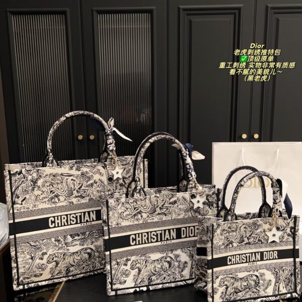 Dior Bag 2025