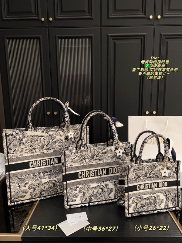 Dior Bag 2025