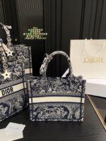 Dior Bag 2025