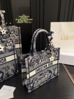 Dior Bag 2025