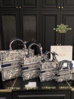 Dior Bag 2025