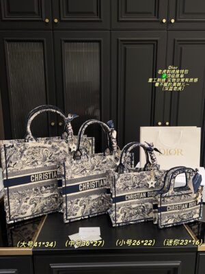 Dior Bag 2025