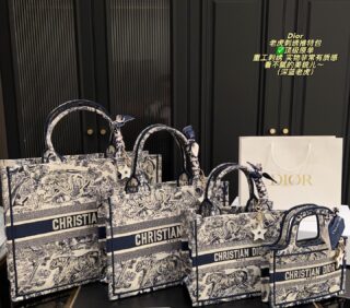 Dior Bag 2025