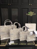 Dior Bag 2025