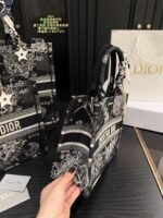 Dior Bag 2025