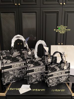 Dior Bag 2025