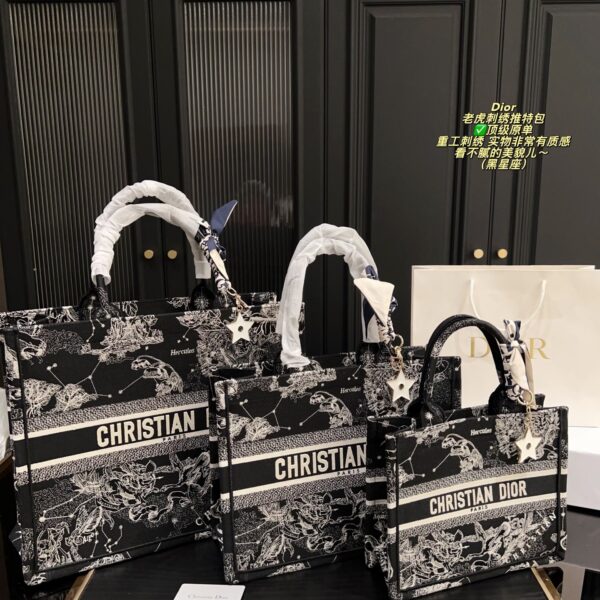 Dior Bag 2025