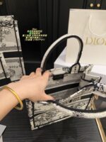 Dior Bag 2025