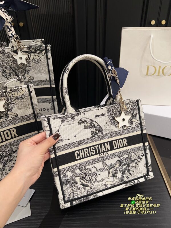Dior Bag 2025