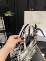 Dior Bag 2025