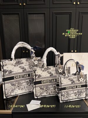 Dior Bag 2025