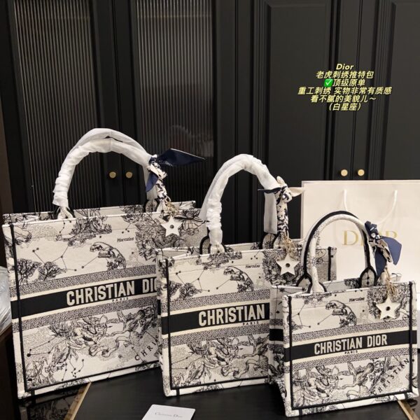 Dior Bag 2025