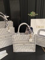 Dior Bag 2025