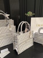 Dior Bag 2025
