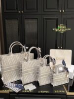 Dior Bag 2025