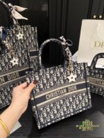 Dior Bag 2025