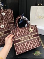 Dior Bag 2025