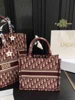 Dior Bag 2025