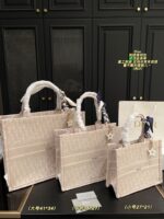 Dior Bag 2025
