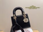 Dior Bag 2025