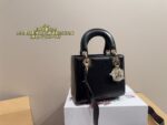 Dior Bag 2025