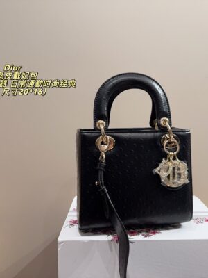 Dior Bag 2025