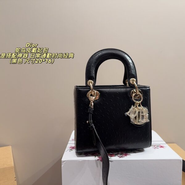 Dior Bag 2025