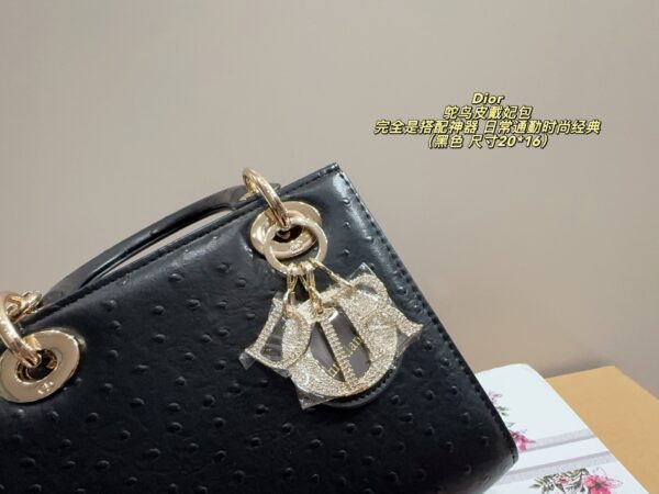 Dior Bag 2025