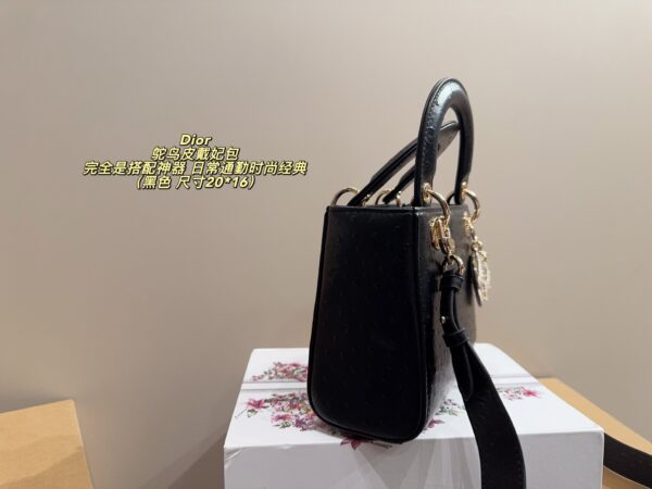 Dior Bag 2025