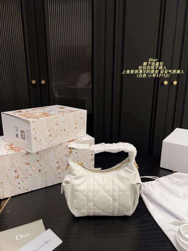 Dior Bag 2025