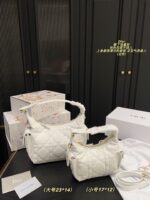 Dior Bag 2025