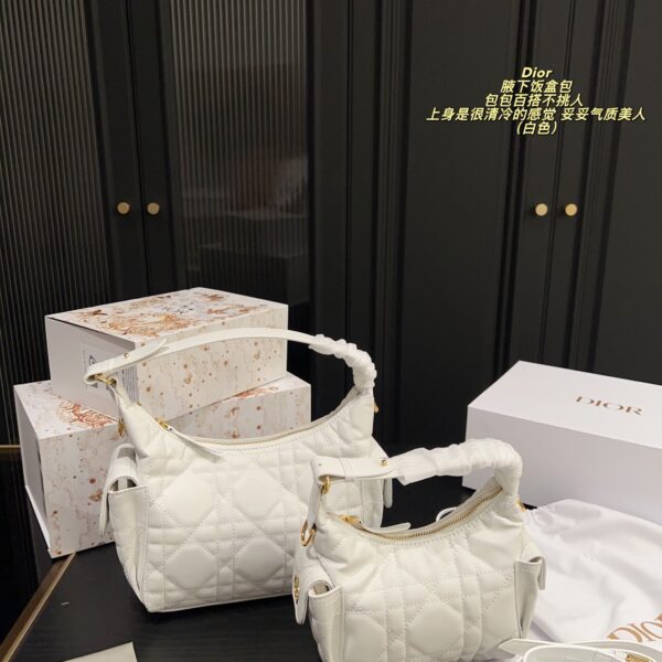 Dior Bag 2025