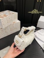 Dior Bag 2025