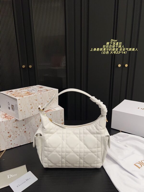Dior Bag 2025