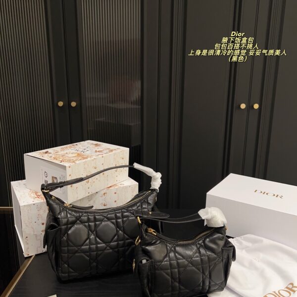 Dior Bag 2025